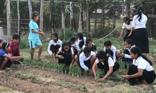 81648687_593461188109899_8026282888167161856_n (1)