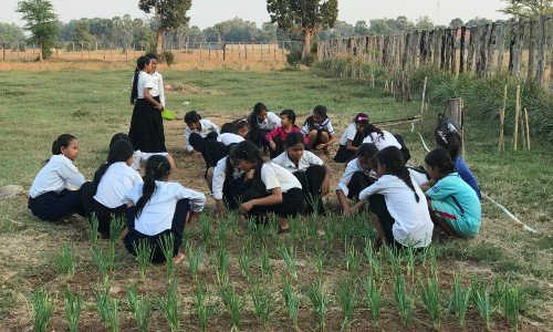 81738279_780658429111400_1113760418003681280_n (1)